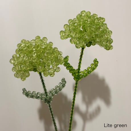 Carnation 1p
