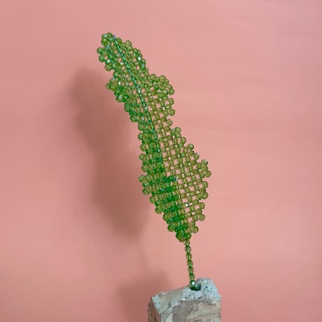 Big leaf