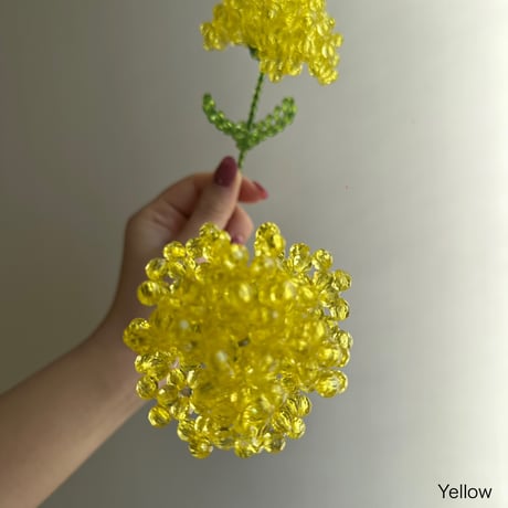 Carnation 1p