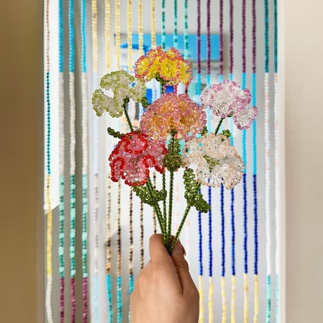 Double color carnation / Yellow × Pink