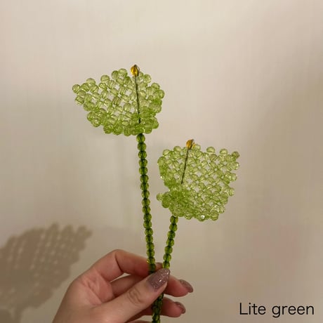 Anthurium 2 piece set