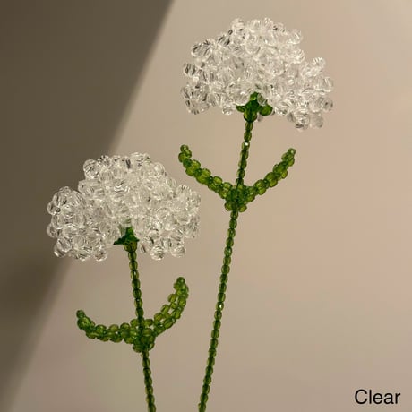 Carnation 1p