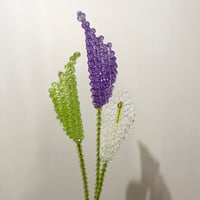 Calla lily 1p