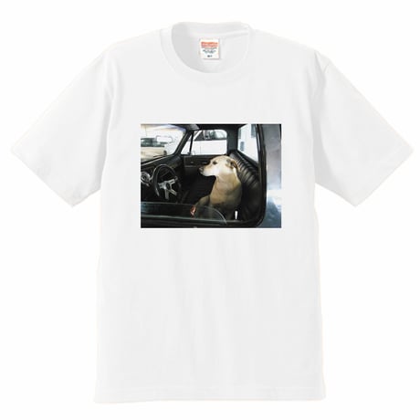 Frame Tee #005