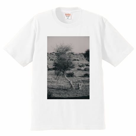 Frame Tee #004