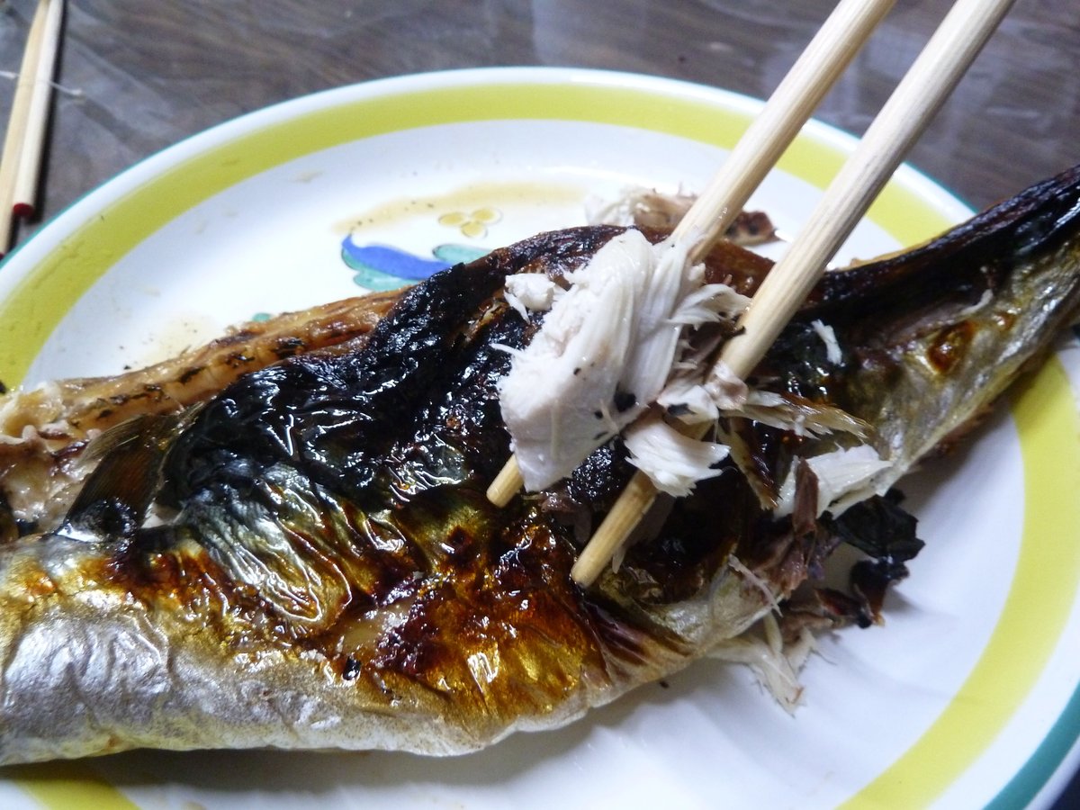 雲南名物・焼き鯖 1本 | 〈秀逸の極〉島根特産品 焼き鯖寿司 石田魚店