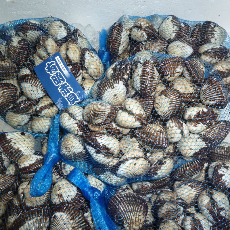 サルボウ貝 貝殻 サルボウ貝の通販 食品・スイーツの価格比較ならビカム