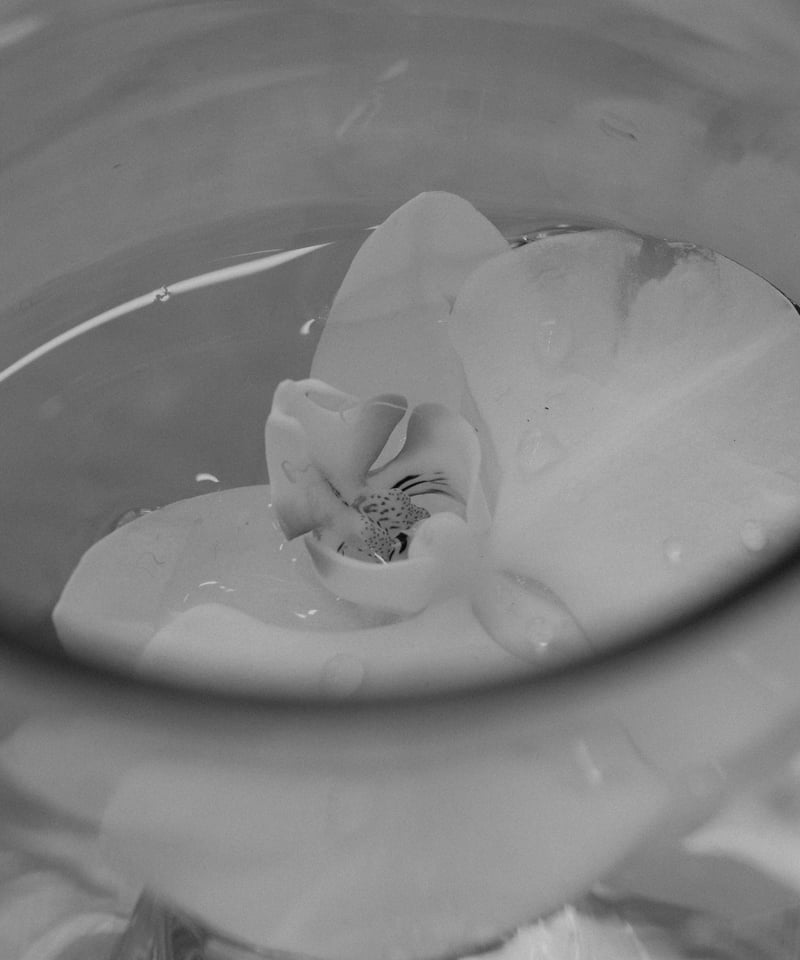 04 series】宵 - yoi -｜Dress | WRAVEE