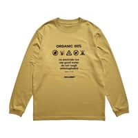 ORGANIC 100%  LONG T-SHIRT  (MUSTERD)