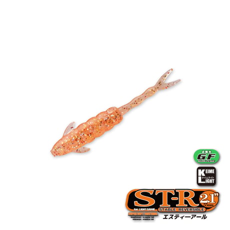 ST-R 2.1in  (エスティ―アール)