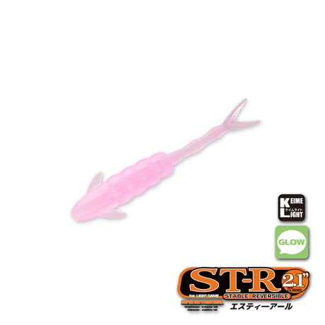 ST-R 2.1in  (エスティ―アール)