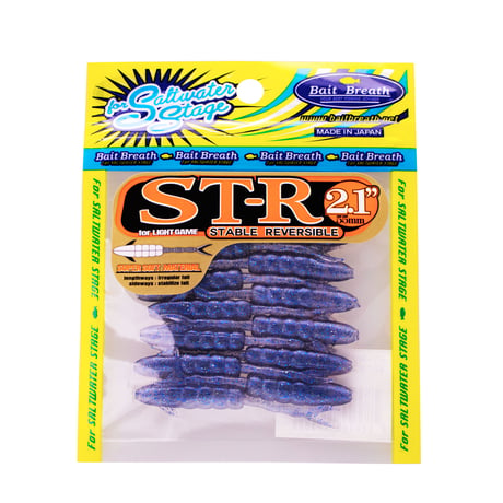 ST-R2.1in (エスティ―アール：OS EDITION)
