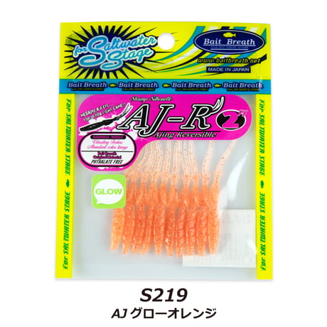 AJ-R2in (エージェーアール)