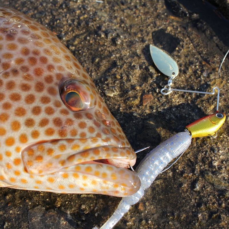 CHERRY SPIN 14g (チェリースピン) | Bait Breath Factory