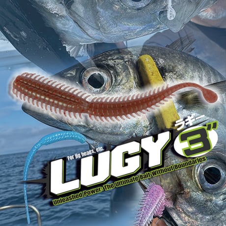 LUGY3in (ラギー)
