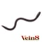 Vein 8inch (ヴェイン)