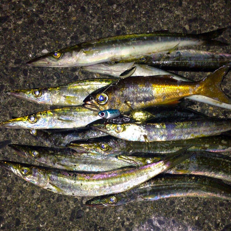 CHERRY SPIN 14g (チェリースピン) | Bait Breath Factory