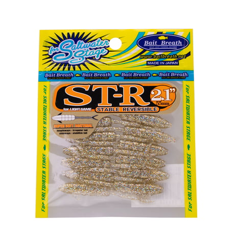 ST-R2.1in (エスティ―アール：OS EDITION)