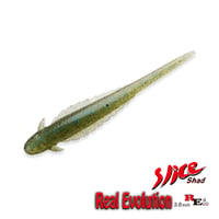 Real Evolution 3.6in (リアルエボリューション)