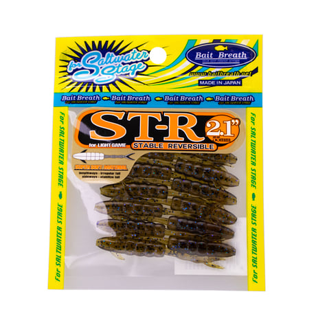 ST-R2.1in (エスティ―アール：OS EDITION)