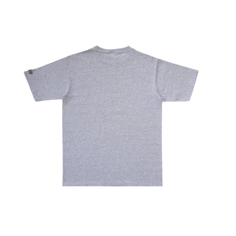 M MV Sport University Of Nortre Dame T Shirts Grey