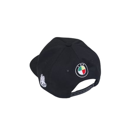 Onesize Cheap Times Zion Car Cap Black