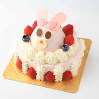 【店舗受け渡し限定／受注生産】うさぎちゃん 4号