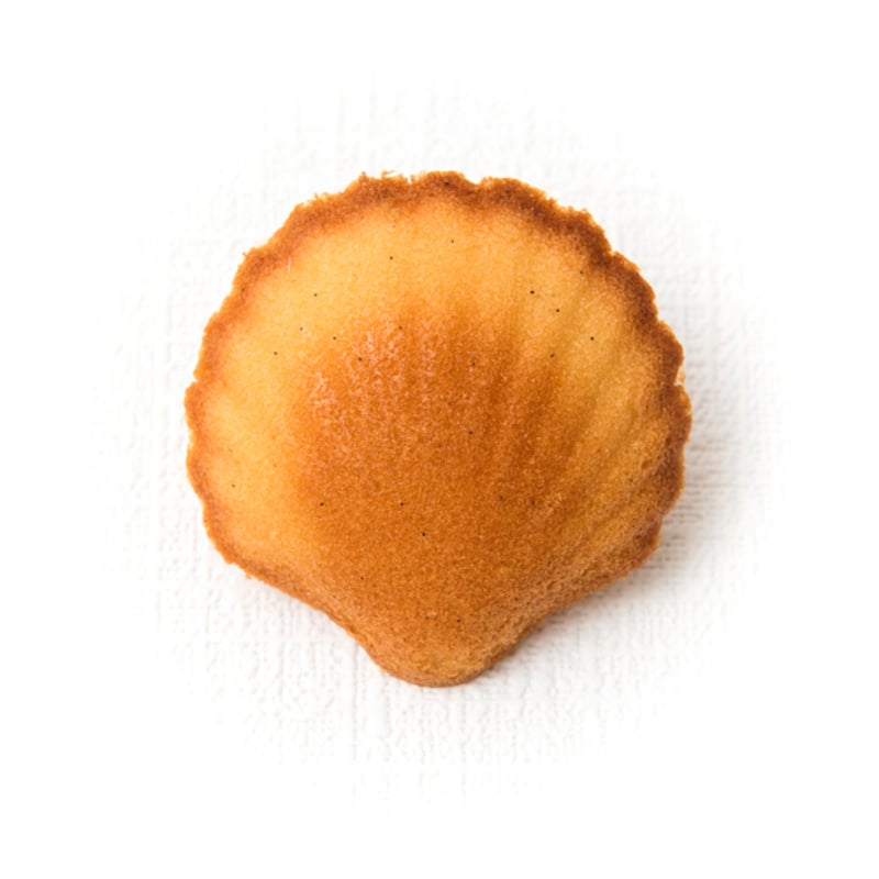 merci様、専用です 配送専用】Merci (大) | ユーセーアーヴェー