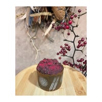 【配送専用】ショコラフランボワーズのケーキ