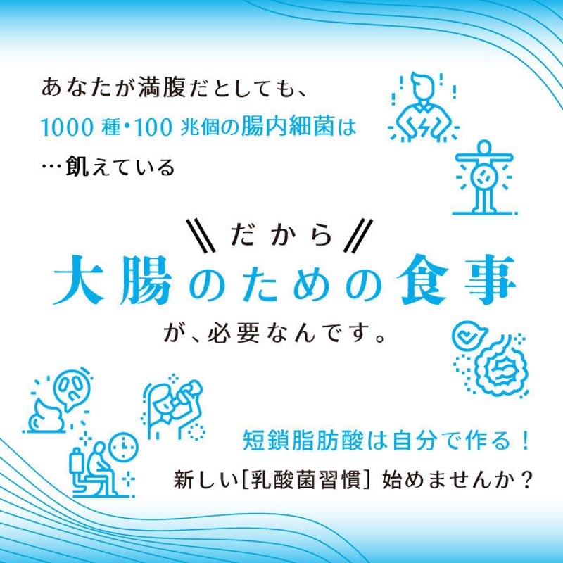 スポット注文 お得な2箱セット☆会員価格☆ 【乳酸菌発酵食品 LT-1】30