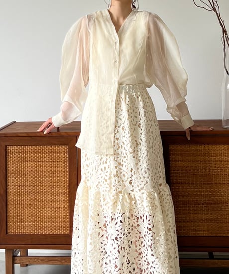 Vneck lantern sleeve sheer blouse