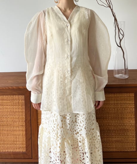 Vneck lantern sleeve sheer blouse