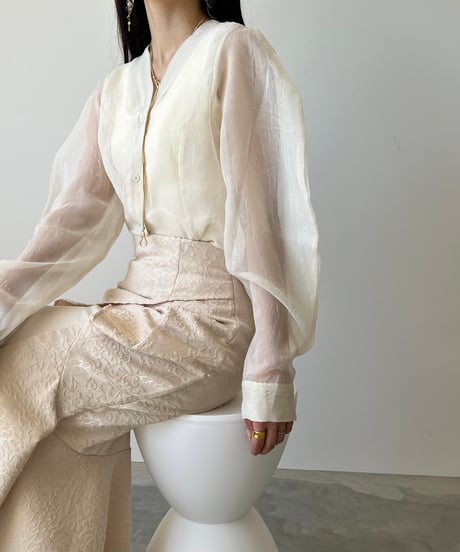 Vneck lantern sleeve sheer blouse