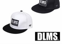 DLMS×NYCダブルネーム ベースボールキャップ DLM-2011