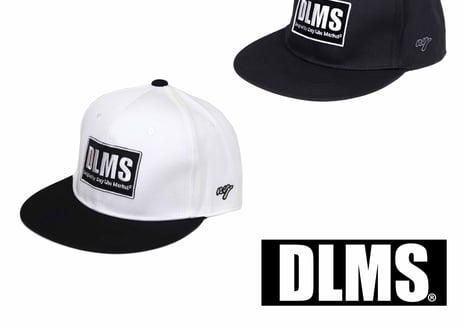DLMS×NYCダブルネーム ベースボールキャップ DLM-2011