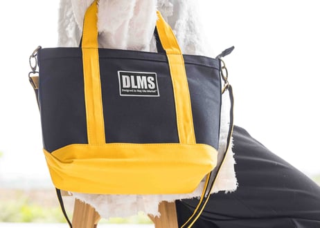 【DLMS】ワックスコーティング キャンバス ミニショルダー トートバッグ 2Way仕様 Sサイズ DLM-517