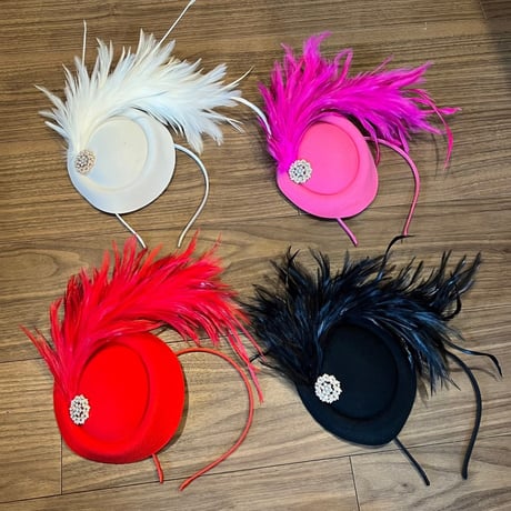 Feather Head Dress