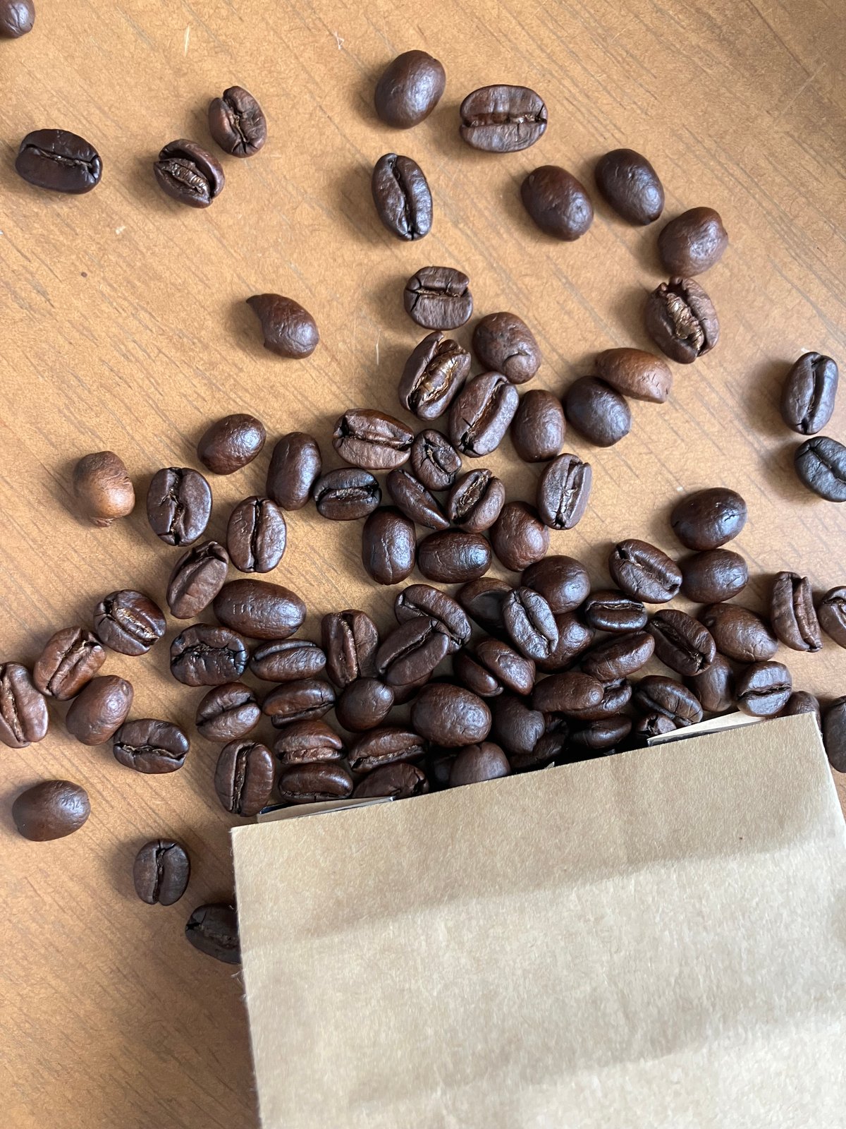 自家焙煎コーヒー豆✨無農薬栽培豆を中心に焙煎仕立てのお豆をお届け致します！ 自家焙煎 無農薬コーヒー豆 メキシコ・マヤビニック 100g