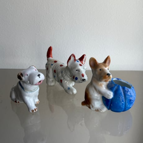 Dot dog