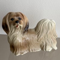 England Coopercraft dog