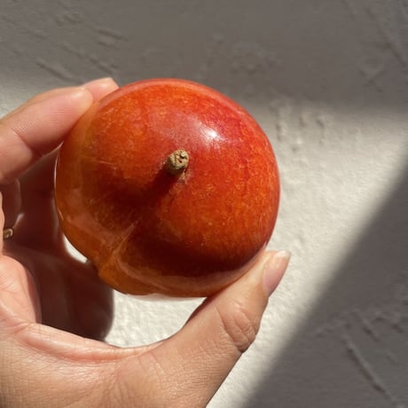 Plum