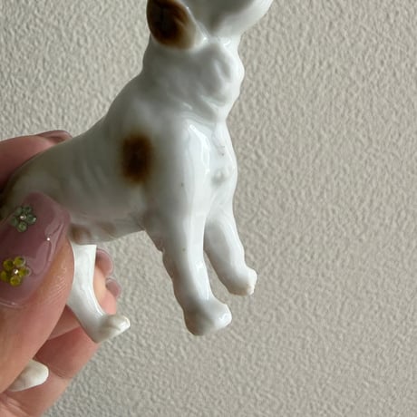 Dog ①