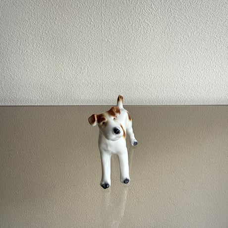 Dog brown