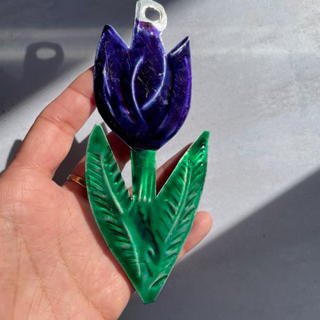 Tulip Mexico