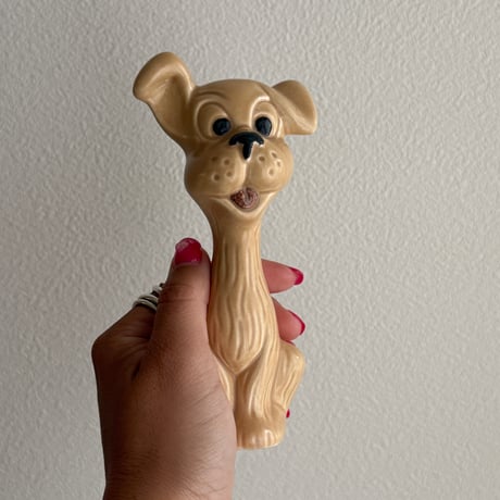 England SylvaC dog