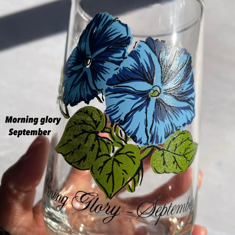 Brockway Flower of the month glass（9.10.11.12）