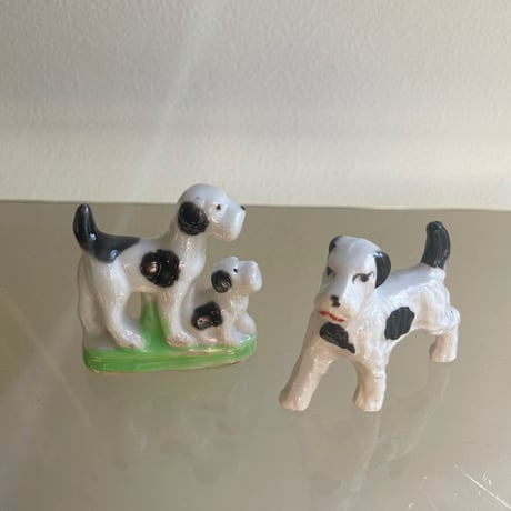Mini dog white×black