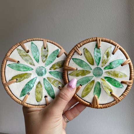 Shell coaster set