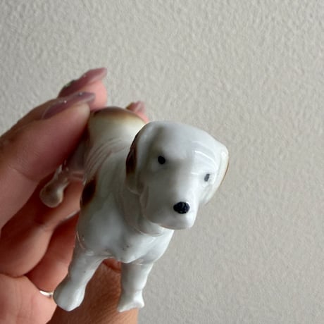 Dog ①