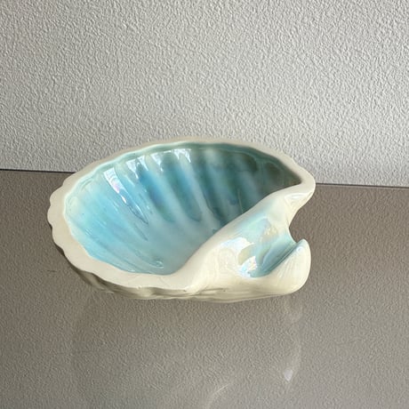 Shell tray blue